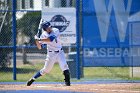 Baseball vs MIT  Wheaton College Baseball vs MIT during quarter final game of the NEWMAC Championship hosted by Wheaton. - (Photo by Keith Nordstrom) : Wheaton, baseball, NEWMAC